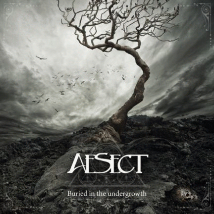 AeSect : Buried in the Undergrowth